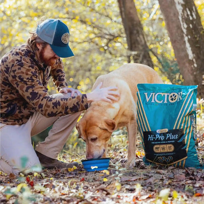 VICTOR Super Premium Dog Food – Hi-Pro plus Dry Kibble – High Protein Dog Food with 30% Protein – Beef, Chicken, Pork, Fish Meals, Gluten Free - for High Energy and Active Dogs & Puppies, 40Lbs3