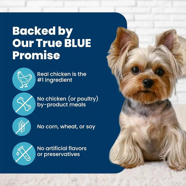 Blue Buffalo Life Protection Formula Small Bite Chicken Dry Dog Food, 15 Lb | Smaller Kibble for Easier Chewing, Real Chicken #1 Ingredient, Supports Immunity with Antioxidant-Rich Lifesource Bits7