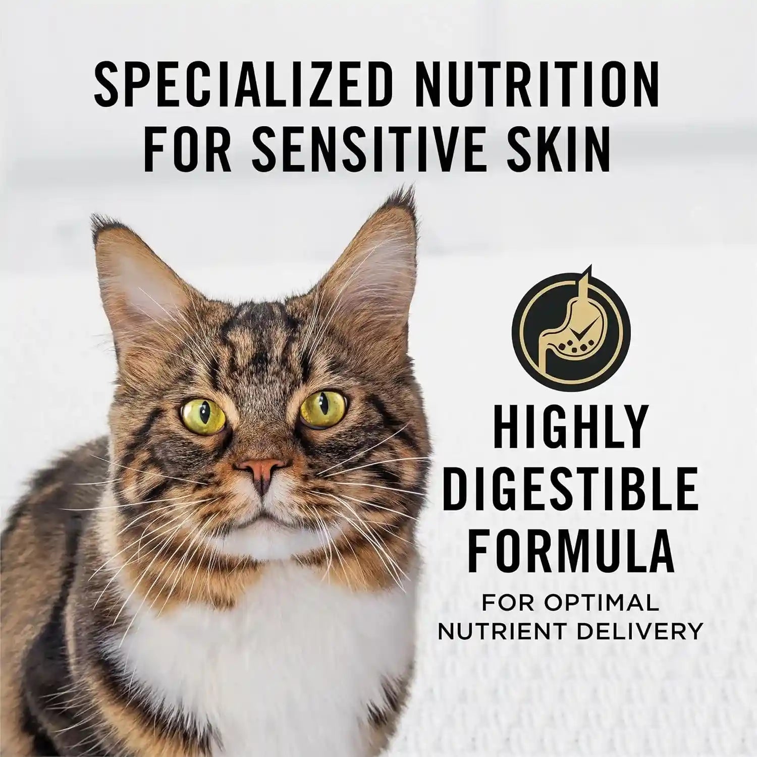purina-pro-plan-sensitive-skin-and-stomach-cat-food-lamb-and-rice-formula-7-lb-bag