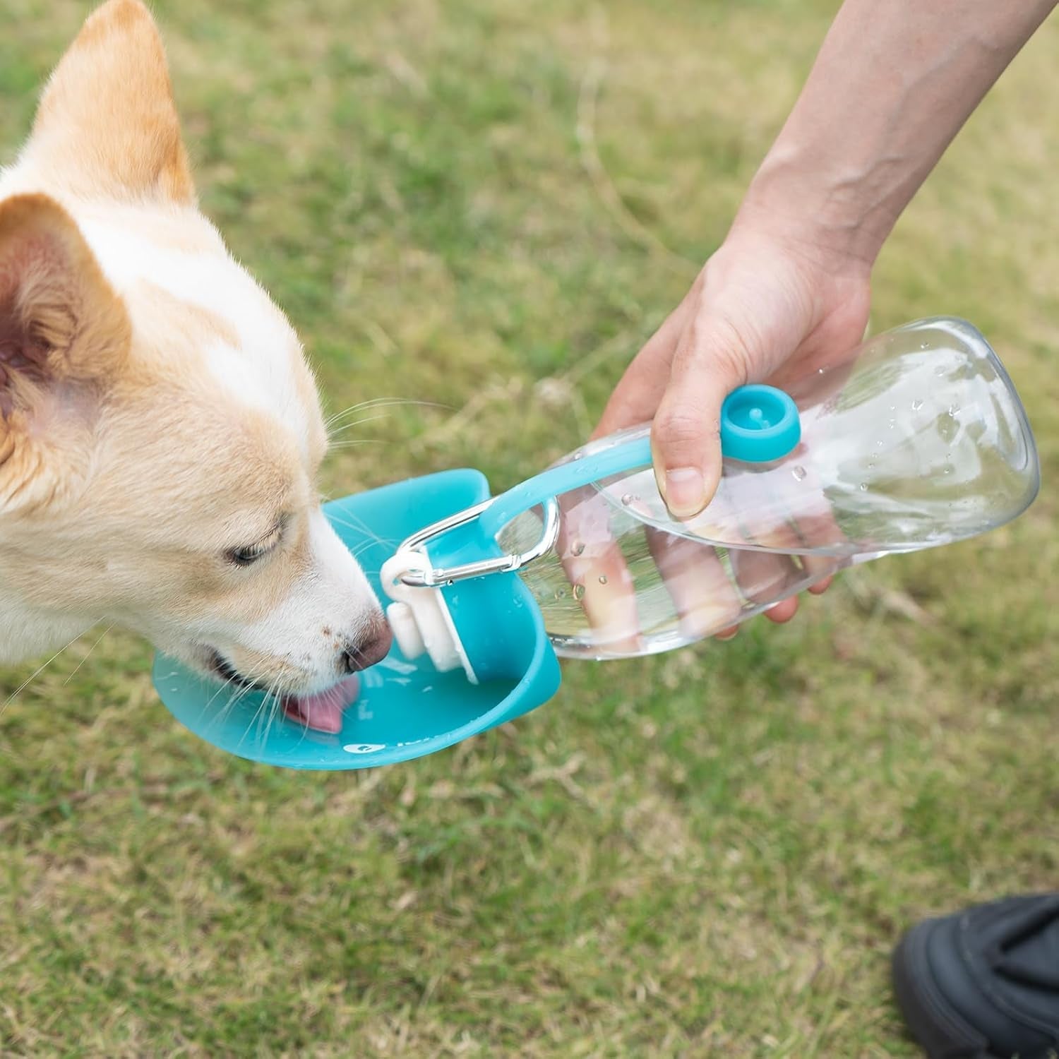 lumoleaf-dog-water-bottle-for-walking-portable-pet-water-dispenser-with-foldable-leaf-bowl-lightweight-travel-bottle-for-small-medium-dogs-20-fl-oz
