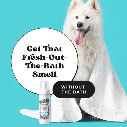 Poo-Pourri Rinse-Free Deodorizing Dry Shampoo for Dogs & Cats – Moisturizing Skin & Coat Soothing Formula - Plant Based Ingredients – Pineapple, Jasmine & Pear – No Rinse Foam Shampoo for Pet Odor2