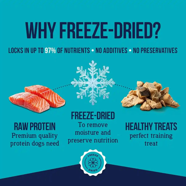 Stewart Freeze Dried Dog Treats, 100% Wild Salmon, 9.5 Oz Tub | Premium Quality Raw Protein, Single Ingredient, High Protein Training Treats & Food Topper, No Refrigeration, Cat Friendly3