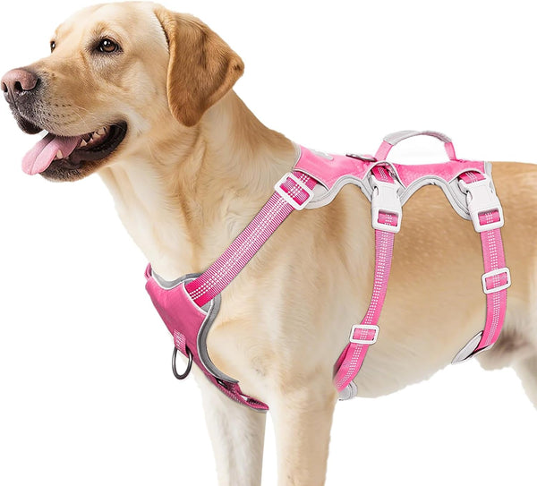 Huntboo Escape Proof Dog Harness, Escape Artist Harness, Reflective Harness with Padded Handle, Breathable, Durable, Adjustable Vest for Medium Dogs Walking, Training, and Running Gear (Blue, M)17