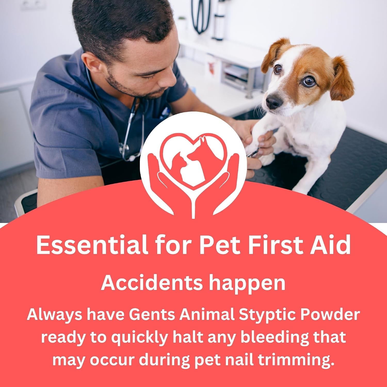g-b-s-styptic-powder-for-dogs-cats-and-birds-1-oz-fast-acting-blood-stop-powder-for-pets-animals-quick-stop-bleeding-powder-for-nail-clipping-cuts-grooming