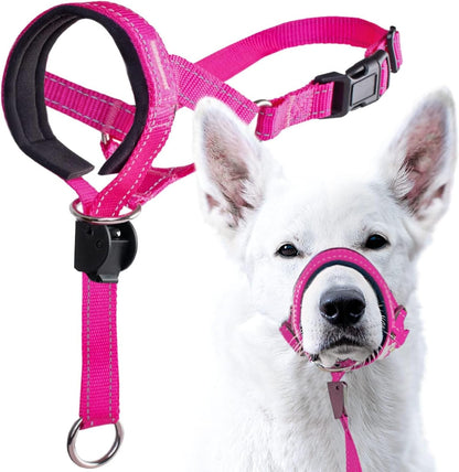 Goodboy Dog Head Halter with Safety Strap - Stops Heavy Pulling on the Leash - Padded Headcollar for Small Medium and Large Dog Sizes - Head Collar Training Guide Included (Size 2, Black)9