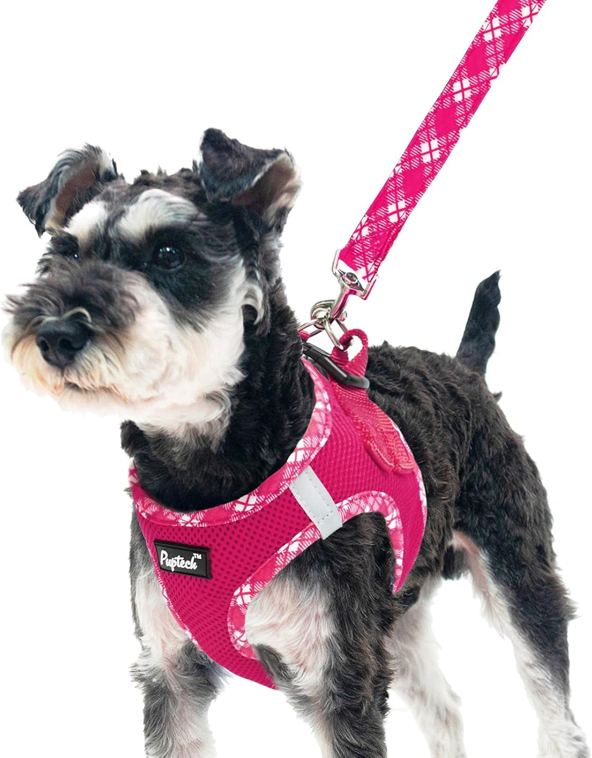 pupteck-dog-harness-and-leash-set-for-small-medium-dogs-no-pull-step-in-soft-mesh-puppy-cat-vest-harnesses-reflective-at-night-green-s