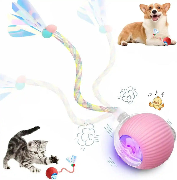 2 Packs Speed 2.0 Tail Interactive Cat Toys for Indoor Cats, Chirping & Motion Activate Cat Toy, Smart Kitten Rolling Ball Moving Ball Toys, Rechargeable Dog Cats Bal L for Enrichment Exercise15