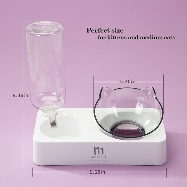 Marchul Double Elevated Dog Cat Bowl, Pets Water and Food Bowl Set, 15° Raised Tilted Dishes Indoor for Kitten, Puppies, Small or Medium Size Dogs Cats6