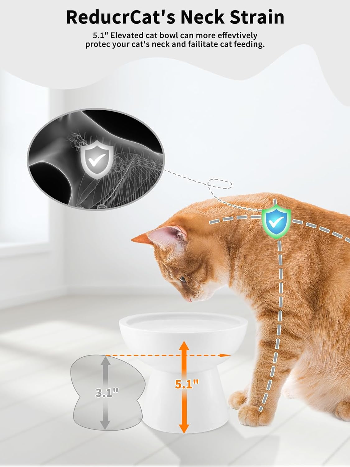 loejan-elevated-cat-food-and-water-bowls-set-extra-wide-and-raised-ceramic-bowls-anti-vomit-whisker-free-pressure-cat-feeder-for-kittens-to-adult-cats-and-small-dogs-white-water-bowl