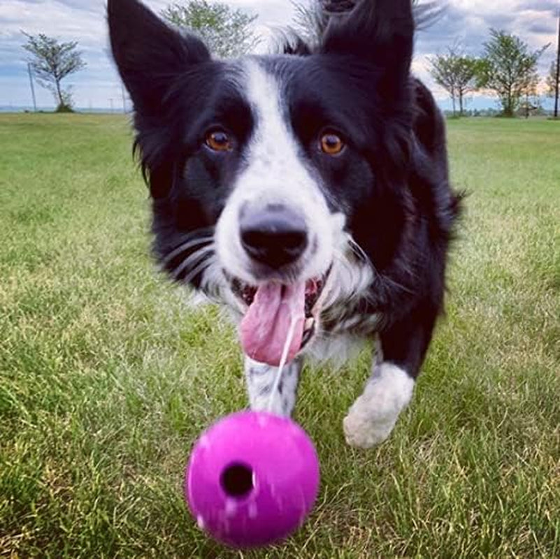 chew-king-fetch-balls-extremely-durable-natural-rubber-toy-pack-of-3-3-inch-balls-cm-0263-cs01