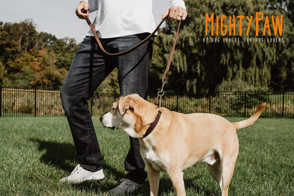 Mighty Paw Martingale Dog Collar - No Pull Design - Stainless Steel Chain - Limited Chain Cinch Training - Brown Leather Martingale Training Collar - Medium Size4