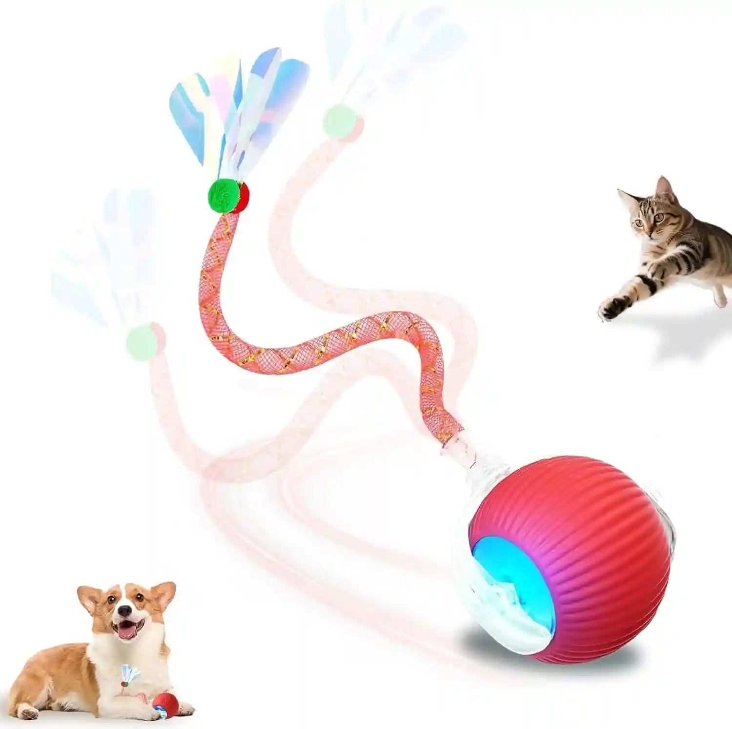 2-pack-usb-rechargeable-smart-cat-toy-ball-360-rotation-automatic-moving-chase-toy-obstacle-avoidance-interactive-play-with-4-spiral-springs-enrichment-toys-for-indoor-cats-puppies-small-dogs