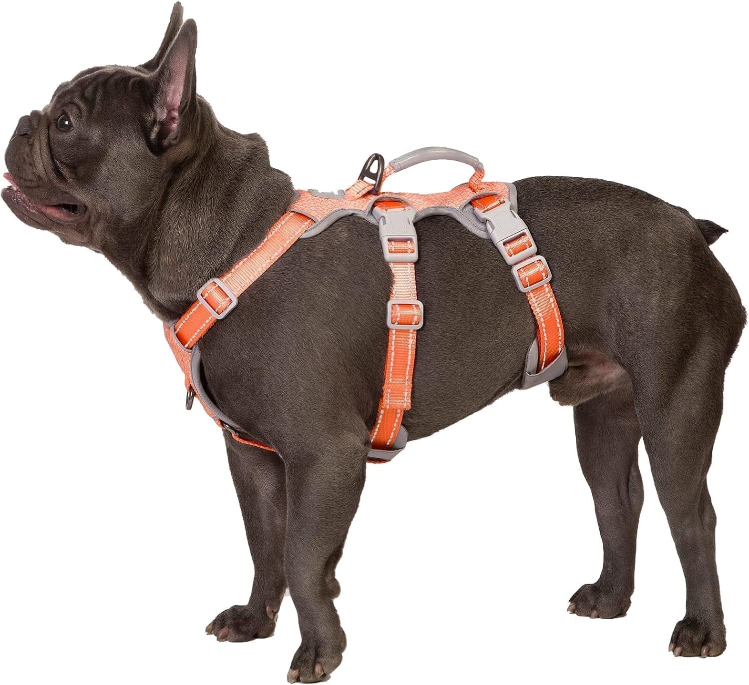 huntboo-escape-proof-harness-no-slip-dog-harness-escape-proof-fully-reflective-harness-with-handle-breathable-durable-adjustable-vest-for-medium-dogs-walking-and-training-gear-black-m