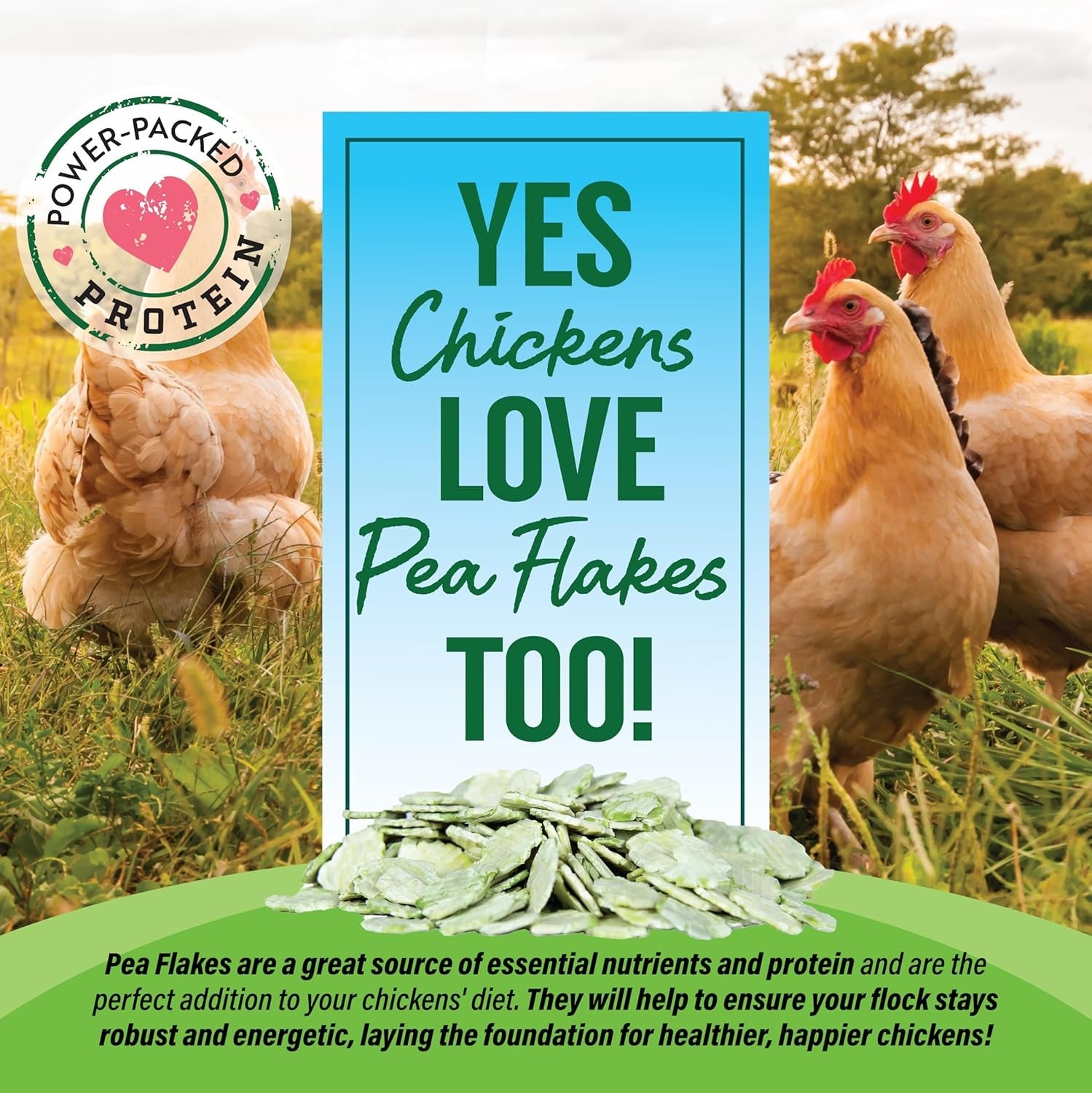 small-pet-select-pea-flakes-treats-for-rabbits-guinea-pigs-1-lb-natural-wholesome-snack-high-fiber-for-bunnies-hamsters-chickens-chinchillas-small-pets