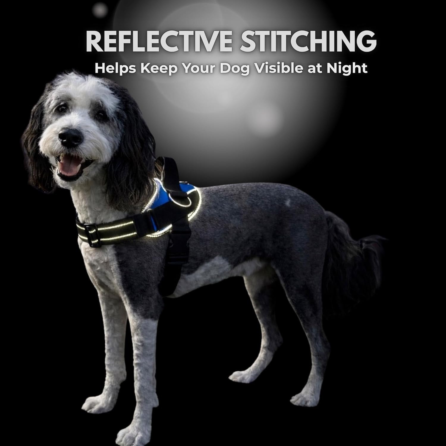 shawnco-essential-dog-harness-no-pull-pet-vest-with-3-leash-clips-no-choke-reflective-adjustable-and-padded-for-easy-walking-and-training-for-small-medium-and-large-dogs-oceanic-blue-s