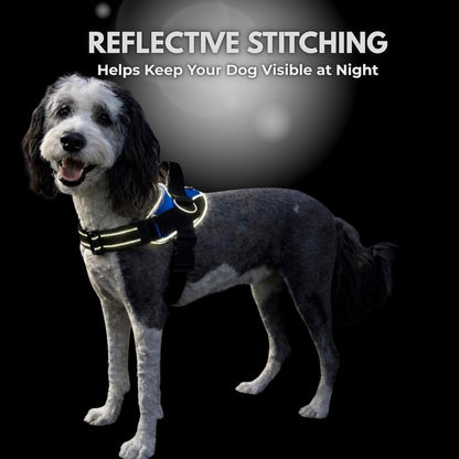 Shawnco Essential Dog Harness, No-Pull Pet Vest with 3 Leash Clips, No Choke, Reflective, Adjustable and Padded, for Easy Walking and Training for Small, Medium and Large Dogs (Oceanic Blue, S)8
