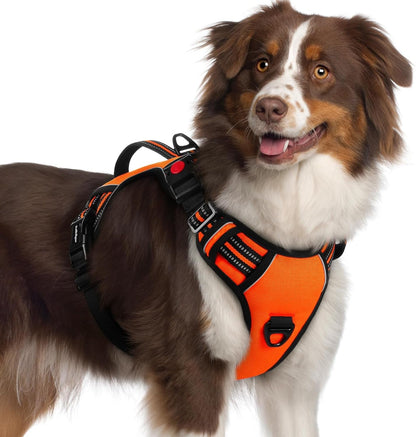 Rabbitgoo Large Dog Harness, Easy Wear with 3 Buckles and Lift Handle | No Pull with Front Clip for Walking, Adjustable Soft Padded, Reflective, Easy Control, Pink, Large16