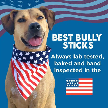 Best Bully Sticks Thick Bully Sticks Dog Chews, 6", 5 Count | 100% Grass-Fed Beef, Single Ingredient Natural Dog Chews, Easily Digestible, Long Lasting, Rawhide-Free, Grain-Free5