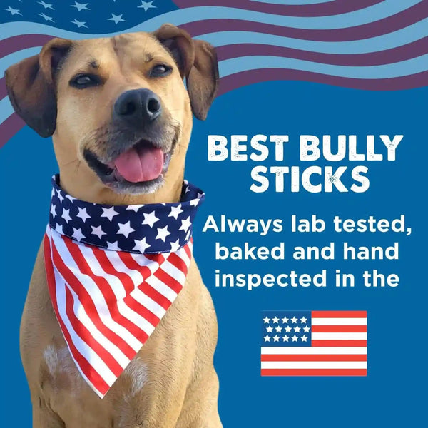 Best Bully Sticks Thick Bully Sticks Dog Chews, 6", 5 Count | 100% Grass-Fed Beef, Single Ingredient Natural Dog Chews, Easily Digestible, Long Lasting, Rawhide-Free, Grain-Free5