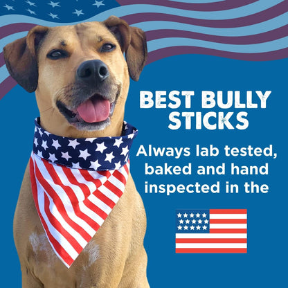 Best Bully Sticks Marrow Bones for Dogs, Large, 3 Count | Natural Beef Flavor, High Protein Dog Chews, Dog Bones for Aggressive Chewers, Single Ingredient, Great for Large Breeds7