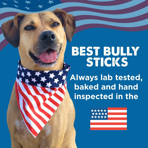 Best Bully Sticks Marrow Bones for Dogs, Large, 3 Count | Natural Beef Flavor, High Protein Dog Chews, Dog Bones for Aggressive Chewers, Single Ingredient, Great for Large Breeds7