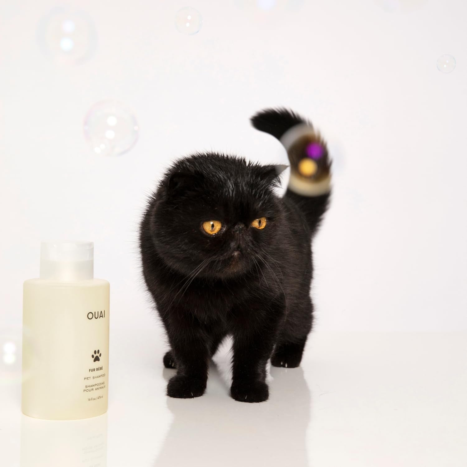 ouai-fur-bebe-pet-shampoo-cat-dog-shampoo-for-gentle-cleansing-hydration-shine-vegan-cruelty-free-pet-supplies-with-aloe-vera-panthenol-mercer-street-scent-16-fl-oz