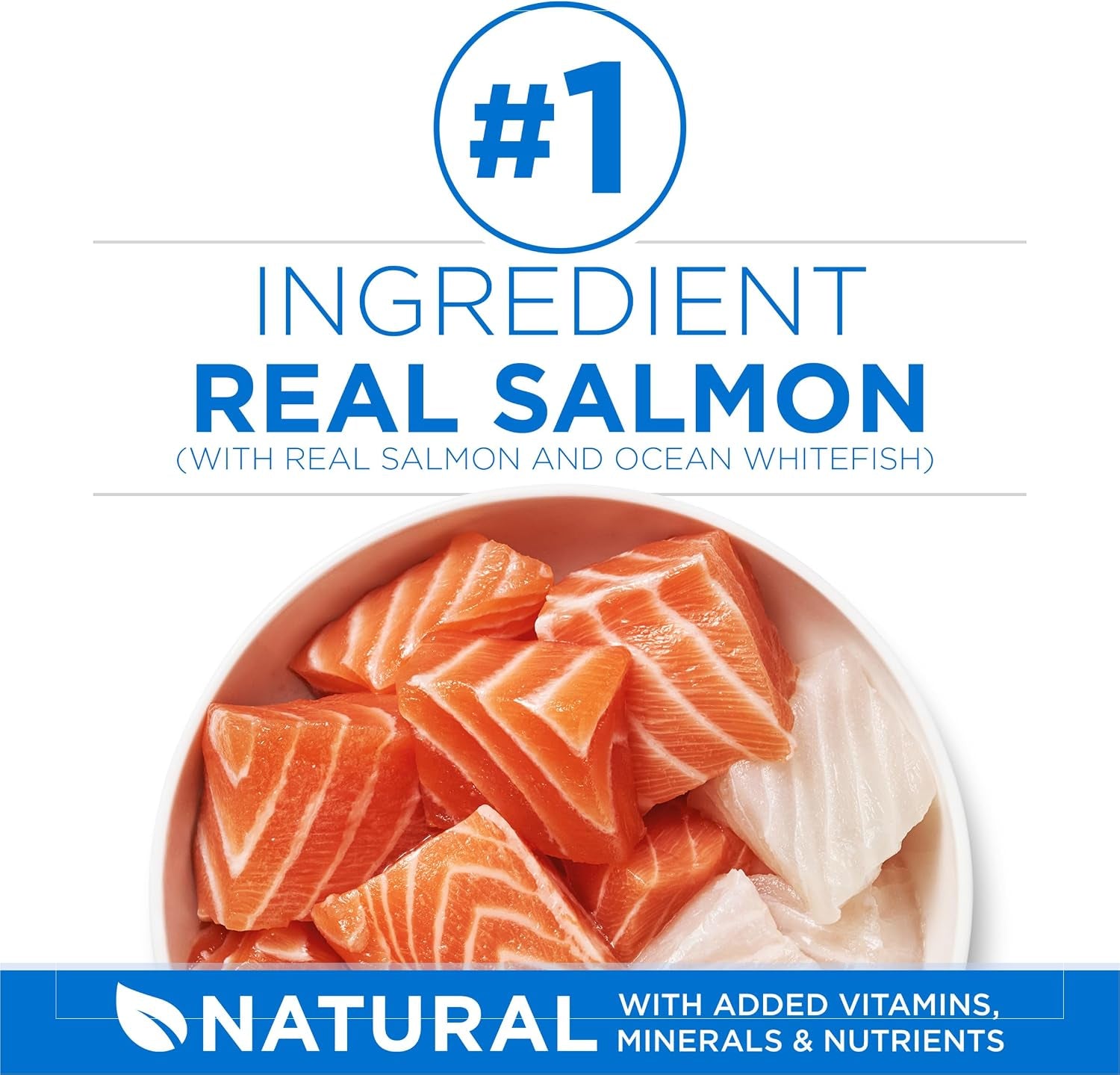 purina-one-plus-high-protein-cat-food-dry-salmon-and-ocean-whitefish-cat-skin-and-coat-health-formula-7-lb-bag