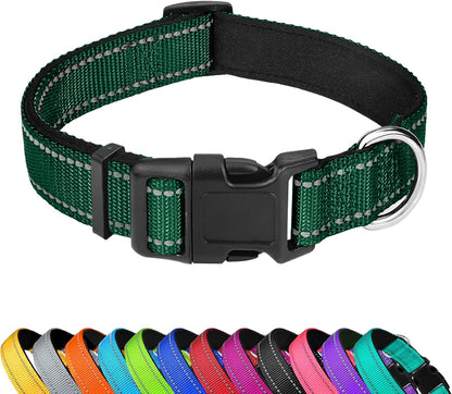 Reflective Dog Collar, Adjustable Soft Neoprene Padded,Teal,M | Breathable Nylon for Medium Dogs,Tear-Resistant Webbing,Chafe‑Free on Walks and Hikes,Metal D-Ring,Night Safety21