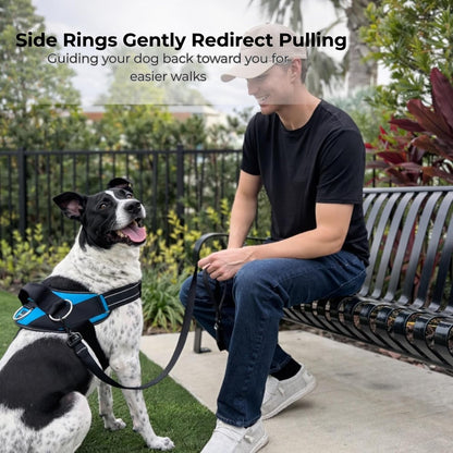 Shawnco Essential Dog Harness, No-Pull Pet Vest with 3 Leash Clips, No Choke, Reflective, Adjustable and Padded, for Easy Walking and Training for Small, Medium and Large Dogs (Oceanic Blue, S)3