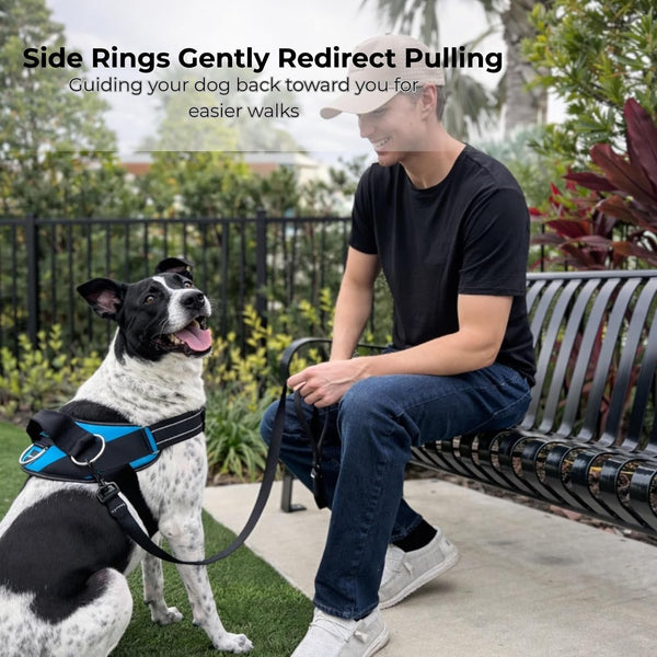 Shawnco Essential Dog Harness, No-Pull Pet Vest with 3 Leash Clips, No Choke, Reflective, Adjustable and Padded, for Easy Walking and Training for Small, Medium and Large Dogs (Oceanic Blue, S)3