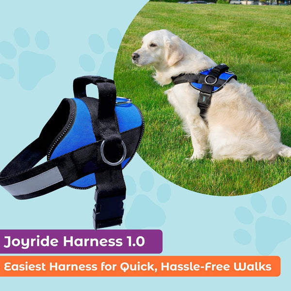 Joyride Basic Dog Harness 1.0 | Blue Serenity | M | Adjustable Pet Vest with 3 Side Leash Rings for Training, Walking and Improved Control for Small, Medium or Large Dogs2