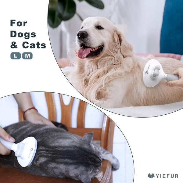 Cat Brush for Shedding, Self Cleaning Brush for Long & Short Hair Cats | Removes Loose Hair,Gentle Massage,For Indoor Cats,Reduces Shedding,Soft Rounded Tips,Ergonomic Silicone Handle,Easy Grooming5