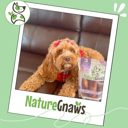 Nature Gnaws Beef Trachea Crunch Wraps for Dogs (3 Count) - Long Lasting Natural Beef Jerky Dog Chew Bones - Rawhide Free6