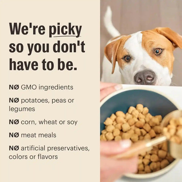 The Honest Kitchen Whole Food Clusters Small Breed Whole Grain Chicken Dry Dog Food, 4 Lb Bag8