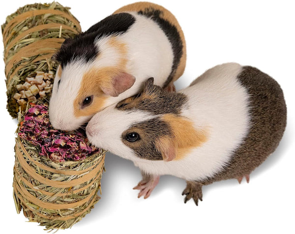 Kaytee Field+Forest Mini Hay Bales Apple and Rose 2 Pack 7 Ounces9