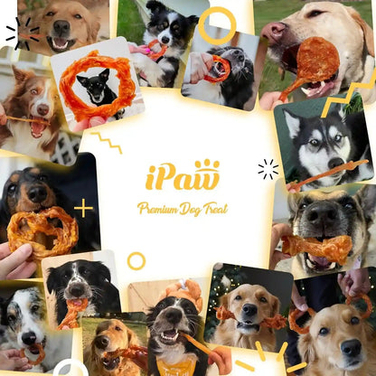 Ipaw 10 Pcs Value Pack Turkey Tendons Ring for Dog, All Natural Human Grade | Single Protein, Hypoallergenic, Grain Free, Rawhide Alternative Dog Treats, Us-Sourced Turkey6