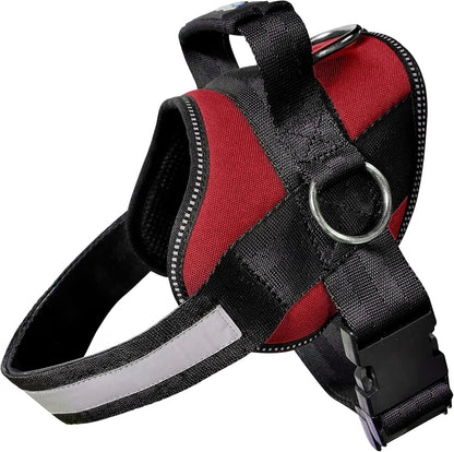 Joyride Basic Dog Harness 1.0 | Blue Serenity | M | Adjustable Pet Vest with 3 Side Leash Rings for Training, Walking and Improved Control for Small, Medium or Large Dogs9