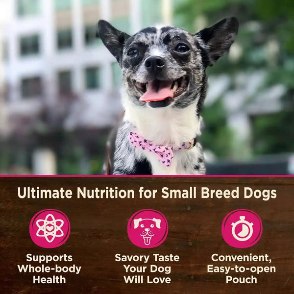 Wellness CORE Small Breed Mini Meals Shredded Variety Pack Adult Wet Dog Food, Grain Free, Natural, 3 Oz, Pack of 123