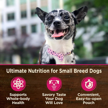 Wellness CORE Small Breed Mini Meals Shredded Variety Pack Adult Wet Dog Food, Grain Free, Natural, 3 Oz, Pack of 123