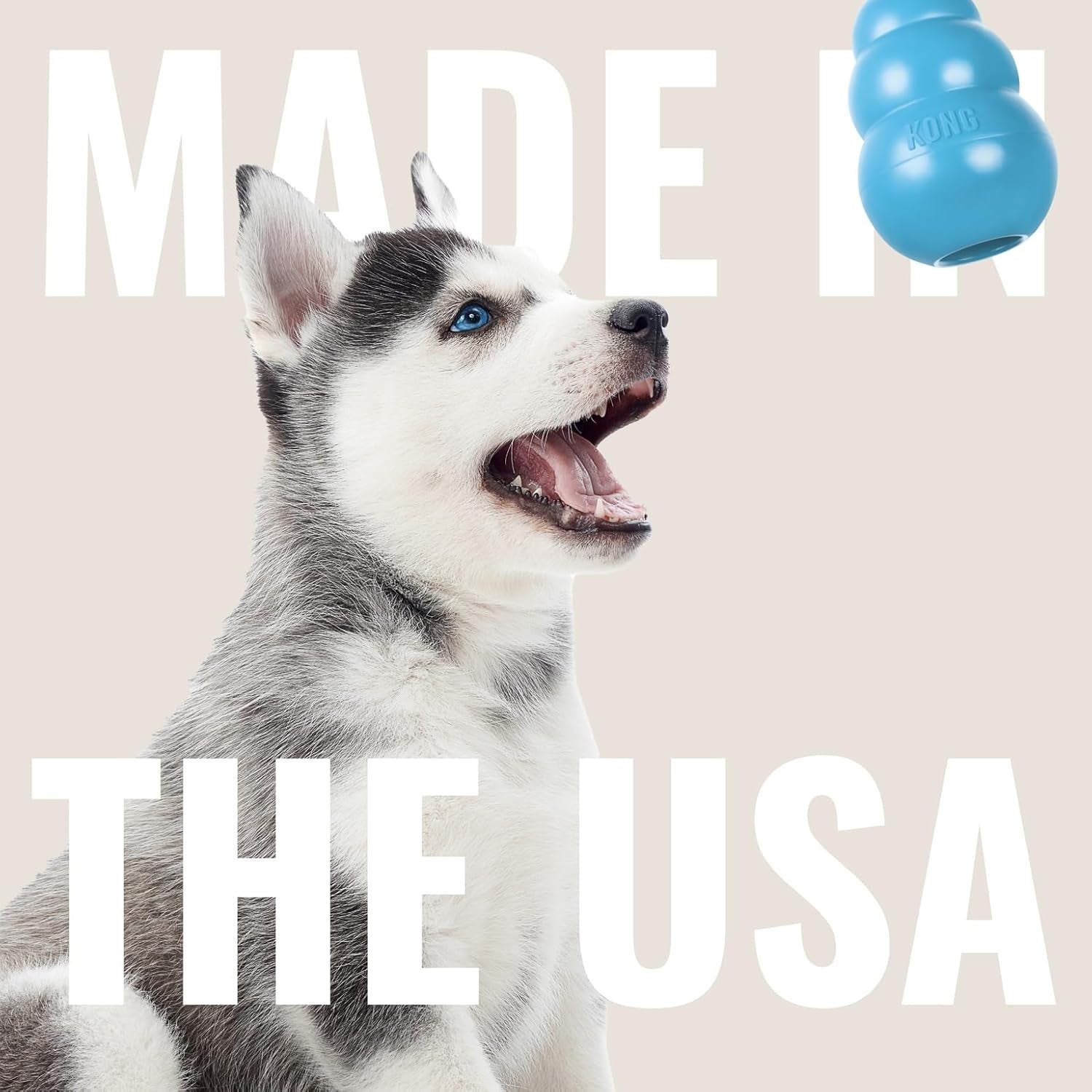 kong-puppy-goodie-bone-with-rope-natural-rubber-for-xs-puppies-blue-kong-natural-rubber-bone-with-a-cotton-rope-for-teeth-cleaning-engaging-chew-play-for-growing-teething-puppies