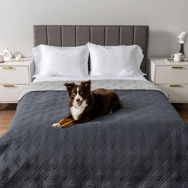 Petami Waterproof Couch Cover for Dogs, Non-Slip Leakproof Sofa Furniture Protector for Pet Cat, Machine Washable Bed Blanket for Car Seat, 102X82 Gray2
