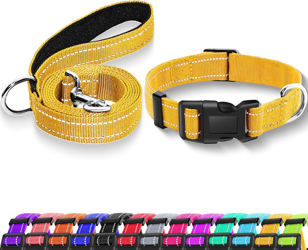 Reflective Dog Collar with Safety Locking Buckle, Adjustable Soft Breathable Nylon Collars for Small, Medium and Large Dogs(Collar+Leash XS Width 5/8" Turquoise) | Adjustable Soft Breathable Nylon Collars for Small, Medium and Large Dogs (XS Width 5/8" Turquoise)14