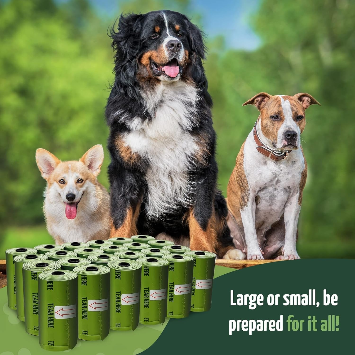 reli-biodegradable-dog-poop-bags-w-holder-1200-count-80-rolls-bulk-leash-clip-dispenser-9x13-large-dog-bags-for-poop-green-eco-friendly-oxobiodegradable-waste-disposal-refills-unscented