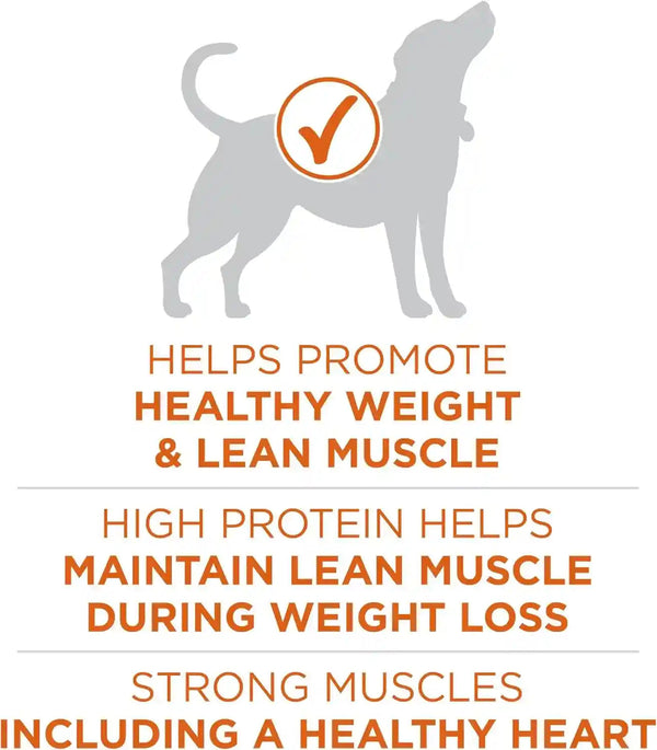 Purina ONE plus Healthy Weight High-Protein Dog Food Dry Formula - 31.1 Lb. Bag4