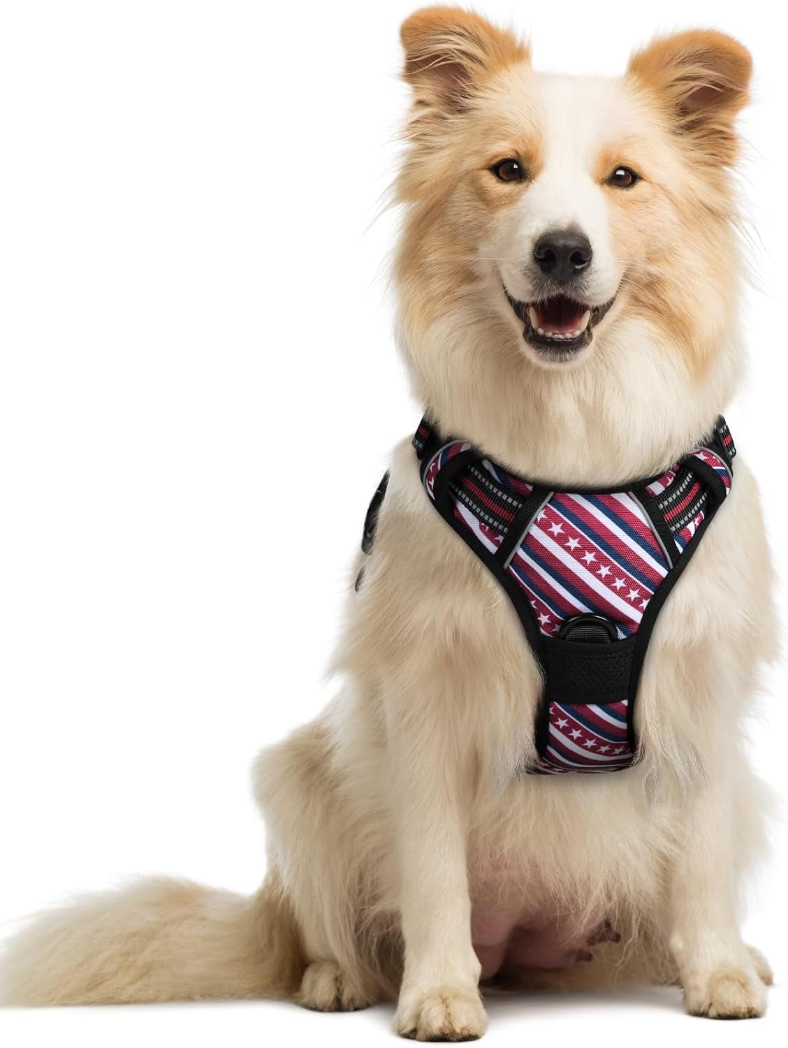 rabbitgoo-dog-harness-no-pull-for-large-dogs-with-2-leash-clips-pet-vest-no-choke-with-handle-adjustable-soft-padded-reflective-easy-control-for-walking-black-large