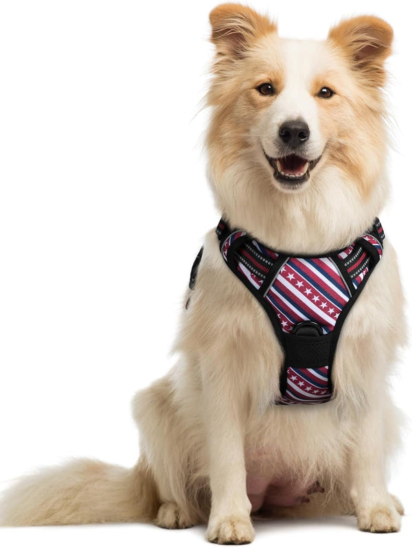 Rabbitgoo Dog Harness, No Pull for Large Dogs with 2 Leash Clips, Pet Vest | No Choke with Handle, Adjustable Soft Padded, Reflective, Easy Control for Walking, Black, Large131