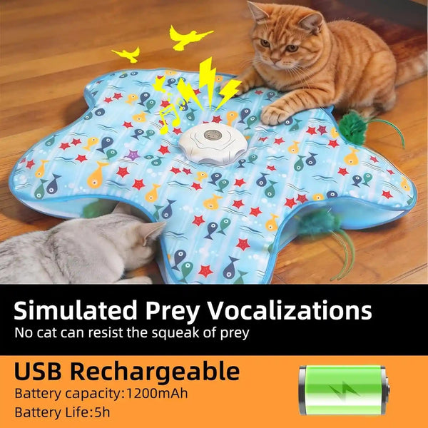 Interactive Cat Toy, Peek-A-Boo Series – Hidden Feather Wand, Rechargeable Indoor Hunting Toy, Squeaky Bird Sound, and Small Fish Pattern Cover5