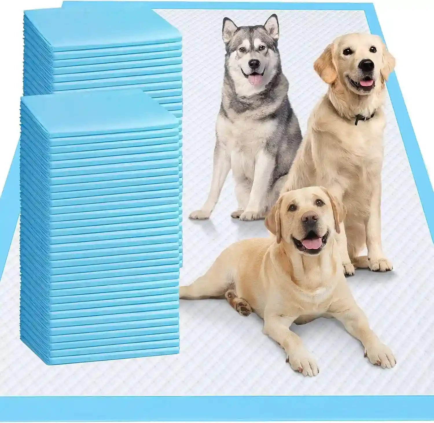blue-dog-training-pads-with-happy-dogs-on-a-clean-absorbent-surface-for-pet-care-essentials
