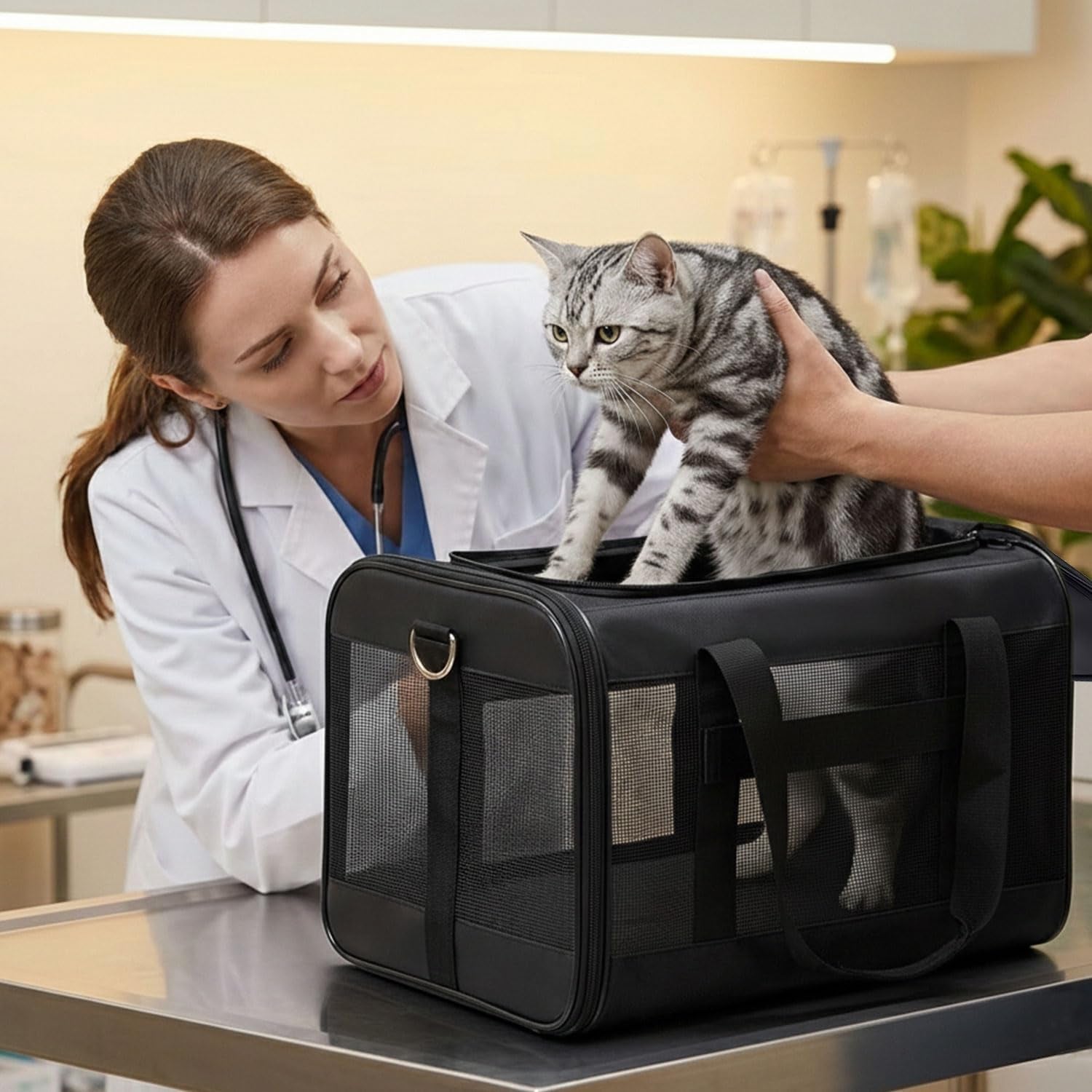 conlun-cat-carrier-airline-approved-soft-sided-dog-carrier-with-inner-safety-leash-pet-transport-carrier-for-small-medium-cats-puppies-up-to-15-lbs-collapsible-travel-kitten-carrier-bag-blackm-airline-approved-with-inner-safety-leash-collapsible-pet-transport-carrier-for-small-dog-medium-cats