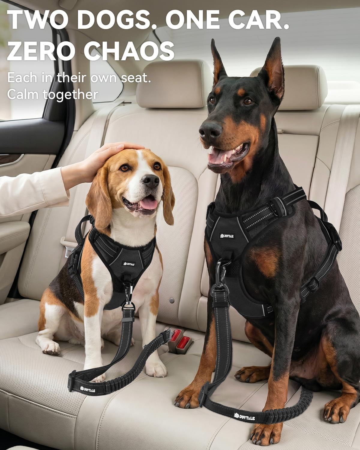 joytale-3-in-1-bungee-dog-seat-belt-for-car-medium-and-large-dogs-black-seatbelt-buckle-latch-cargo-hook-shock-absorbing-360-swivel-slide-to-lock-zinc-buckle-for-distraction-free-driving